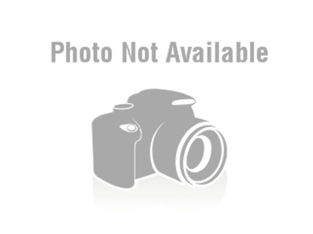 Best Dog Toys And Accesso...